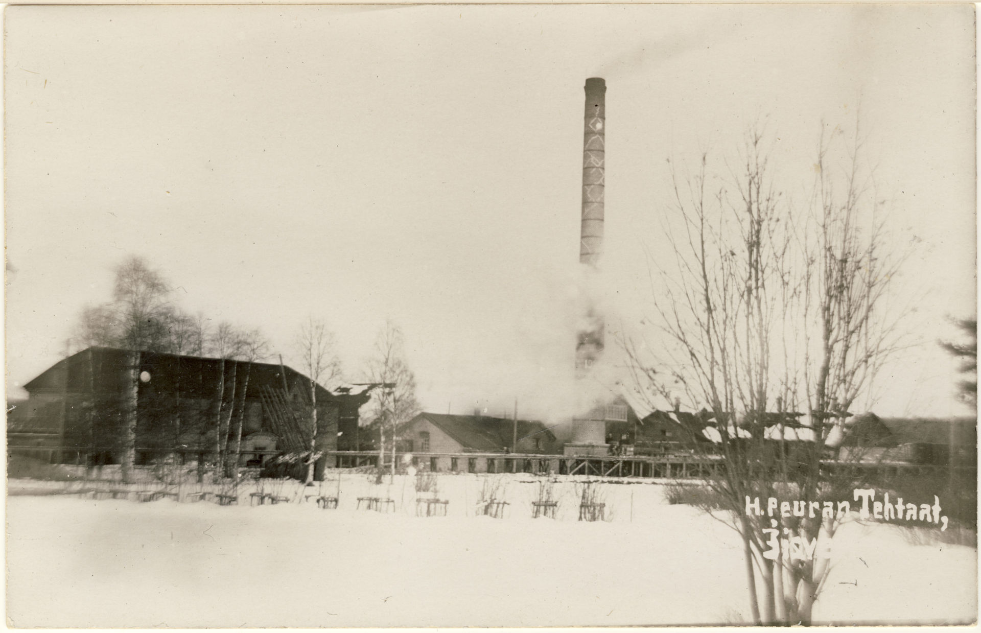 Peuran saha 1930 Peuran saha 1930